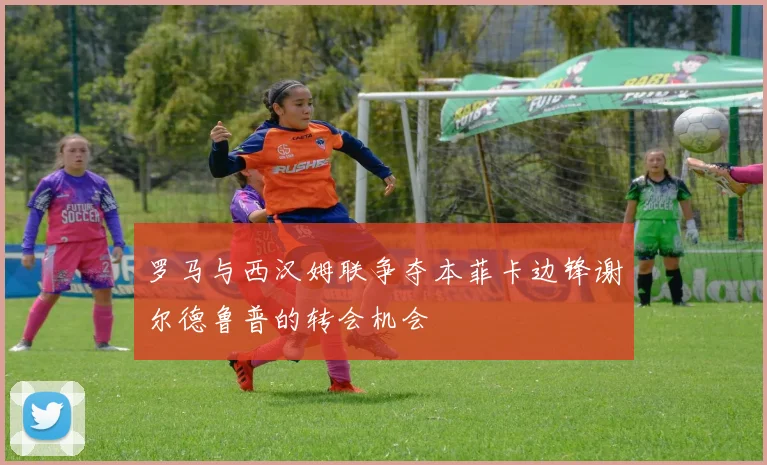 罗马与西汉姆联争夺本菲卡边锋谢尔德鲁普的转会机会