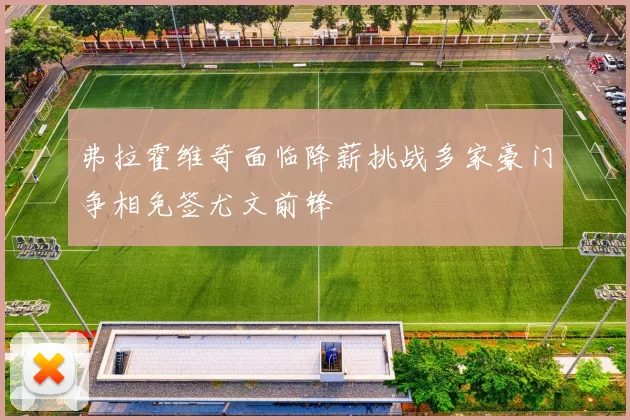 弗拉霍维奇面临降薪挑战多家豪门争相免签尤文前锋