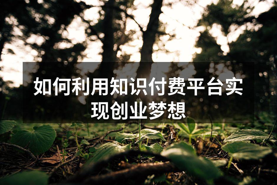 如何利用知识付费平台实现创业梦想